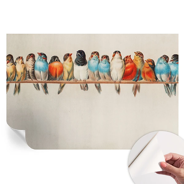 Samolepiaca fototapeta Vtáky na konári do spálne