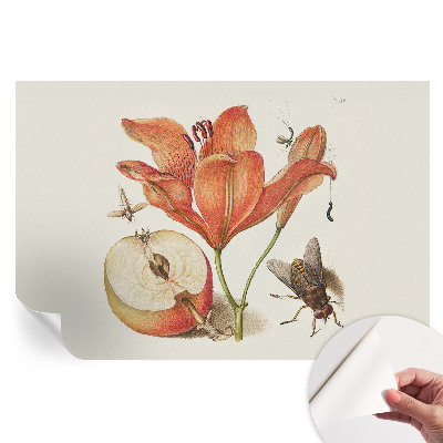 Moderná fototapeta do obývačky s botanickou ilustráciou