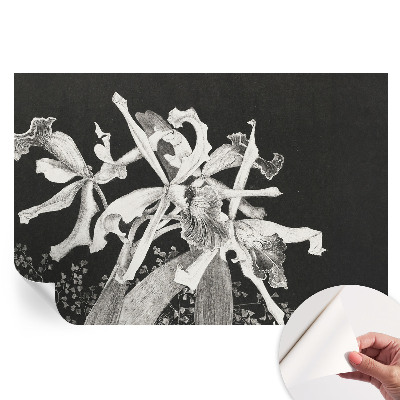 Samolepiaca nástenná maľba Ilustrácia orchidey