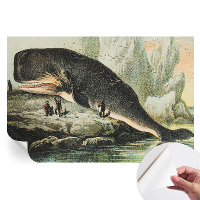 Samolepiaca fotografická tapeta Morský gigantizmus