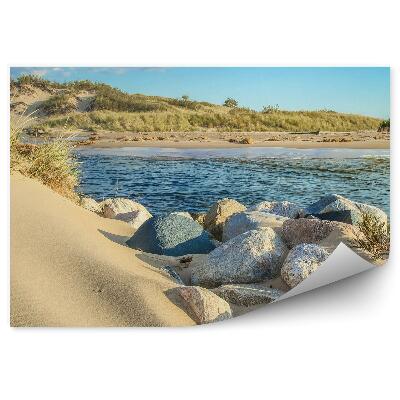 Fototapeta Skaly Obloha Mraky Tráva Oceán Pláž Duny