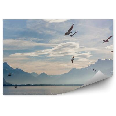 Fototapeta Alpy jazerá genewa obloha mraky vtáky