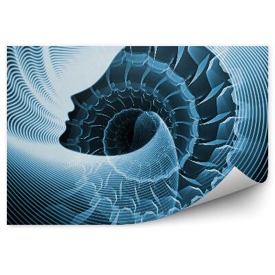 Fototapeta na stenu Ilúzia tváre mysle