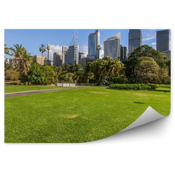 Fototapeta na stenu Sydney park zeleň palmy architektúra