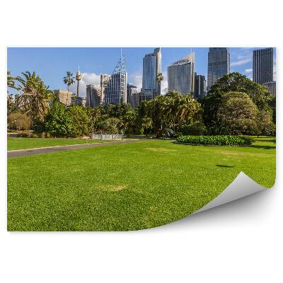 Fototapeta na stenu Sydney park zeleň palmy architektúra