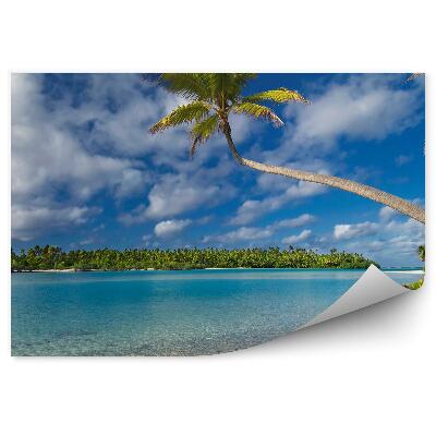 Fototapeta Palmy voda piesok jemné mraky