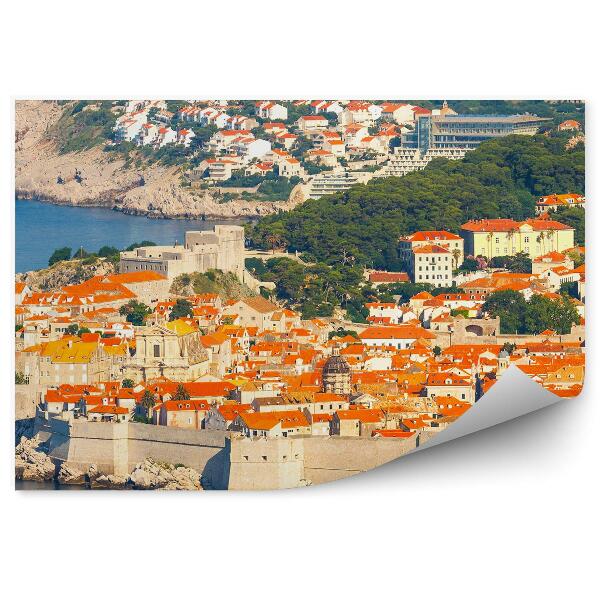 Fototapeta Dubrovník Mestské Hradby Domy Stromy