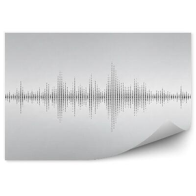 Fototapeta Zvukové vlny 