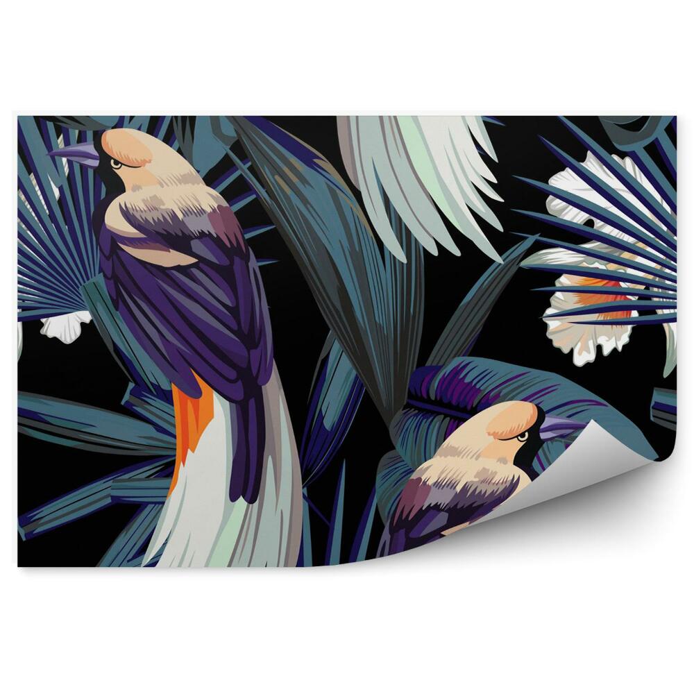 Fototapeta Vtáky, orchidey a noc v džungli