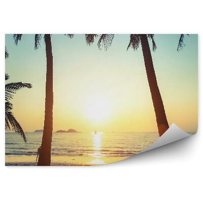 Fototapeta Oceán Tráva Pláž Muž Palmy Západ Slnka