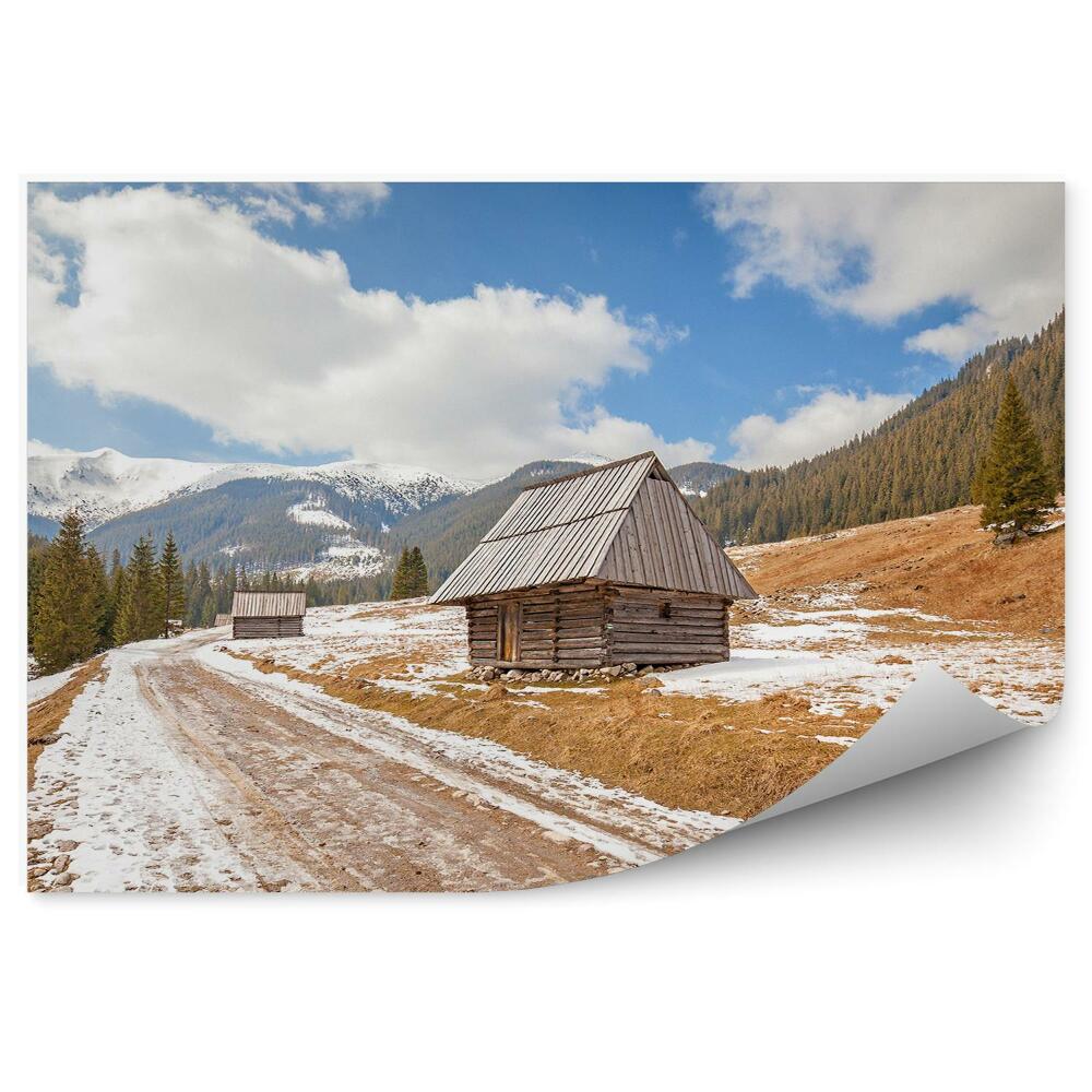 Fototapeta Drevené Domčeky Poľná Cesta Tatra Príroda