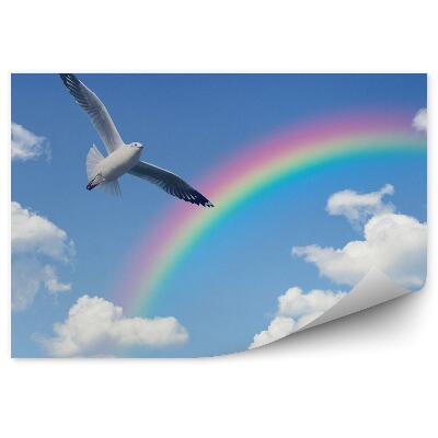 Fototapeta na stenu Dúhové Oblaky Obloha Biela Holubica