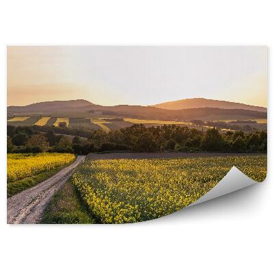 Fototapeta na stenu Polia kvety cesta stromy kopce