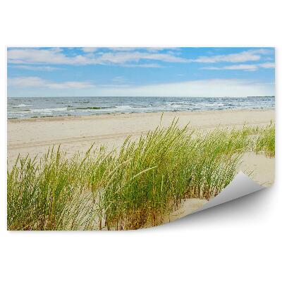 Fototapeta Trávnaté duny pláž Poľsko Baltské more