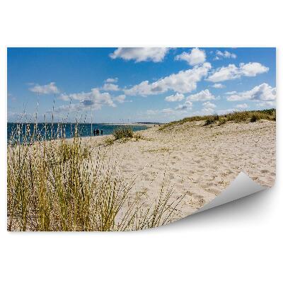 Fototapeta na stenu Pláž Tráva Oceán Mraky Obloha Ľudia Bahno Nemecko