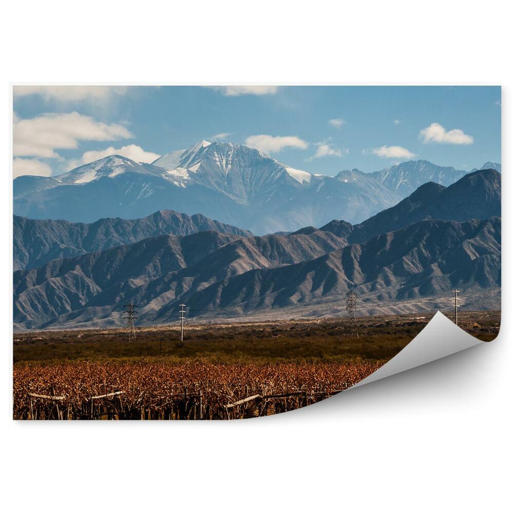 Fototapeta na stenu Sopka aconcagua vinice argentínska obloha mraky sneh