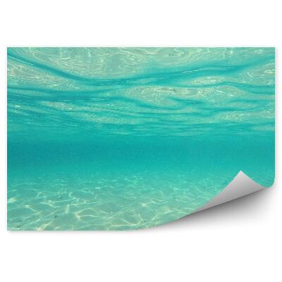 Fototapeta na stenu Pod Vodou Piesočnaté Morské Dno Voda