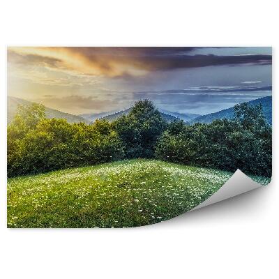 Fototapeta na stenu Zelená poľana kvitnúca deň noc slnko mesiac