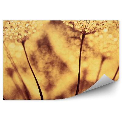 Fototapeta Dúchadlo kvapky rosy sépia