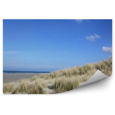 Fototapeta Oceán Duny Pláž Tráva Ostrov Terschelling Obloha Mraky