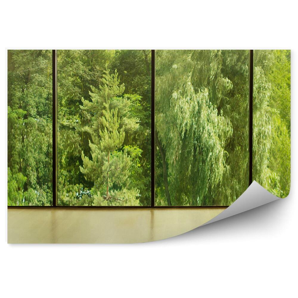Fototapeta na stenu Vianočné stromčeky zelené rastliny na druhej strane okna