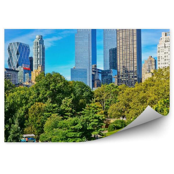 Fototapeta Pohľad central park stromy tráva alej ľudia New York