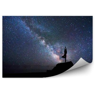 Fototapeta Joga Budova Stromy Mliečna Dráha Hviezdy Obloha