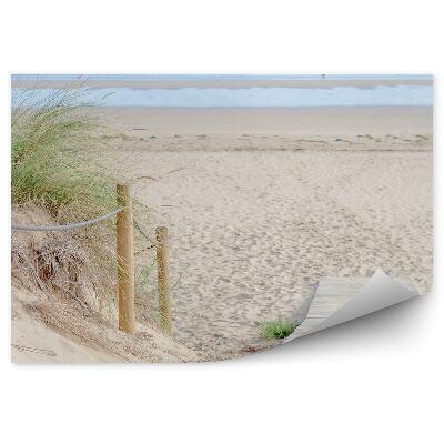 Fototapeta Plošina Pláž Tráva Oceán Mraky Oblohy