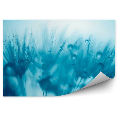 Fototapeta na stenu Dymnivka Rosnička