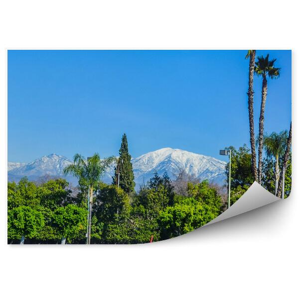 Fototapeta Hory sneh stromy palmy obloha Los Angeles