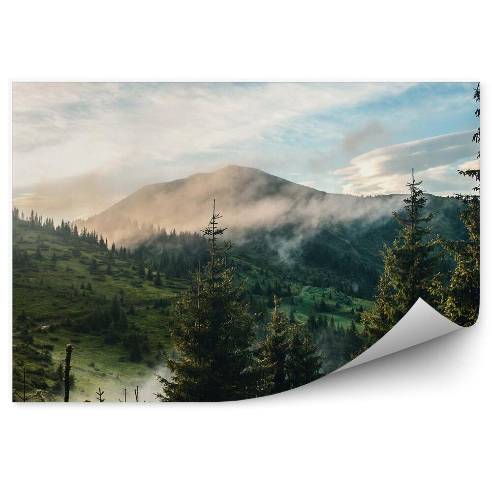 Fototapeta Vrchol Hory Ihličnaté Stromy Obloha Mraky Hmla