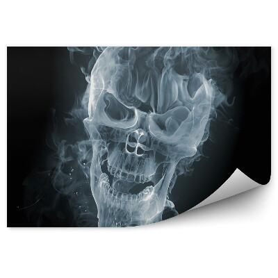 Fototapeta na stenu Lebka s dymom