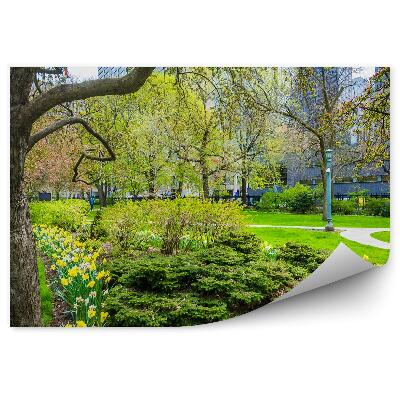 Fototapeta na stenu Stromy záhrady narcisy kvety mestský park