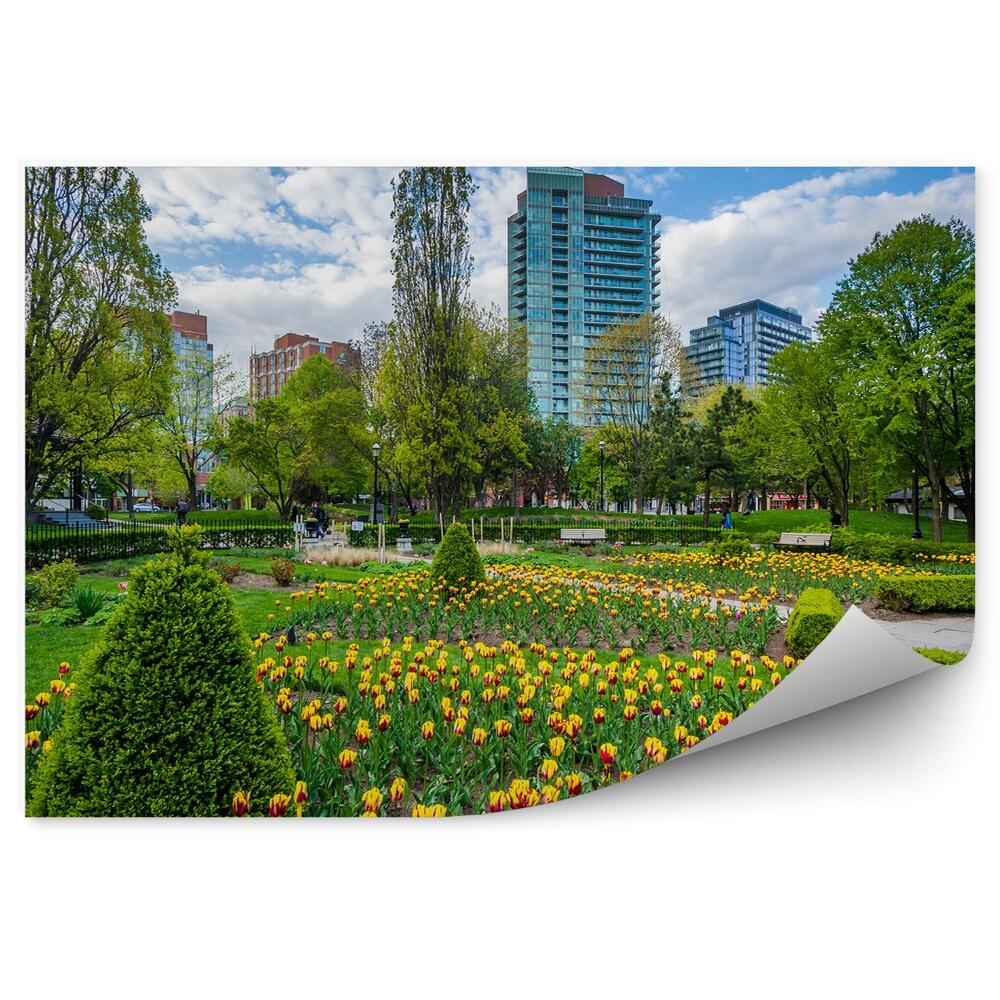 Fototapeta Toronto záhrada kvety tulipány jar