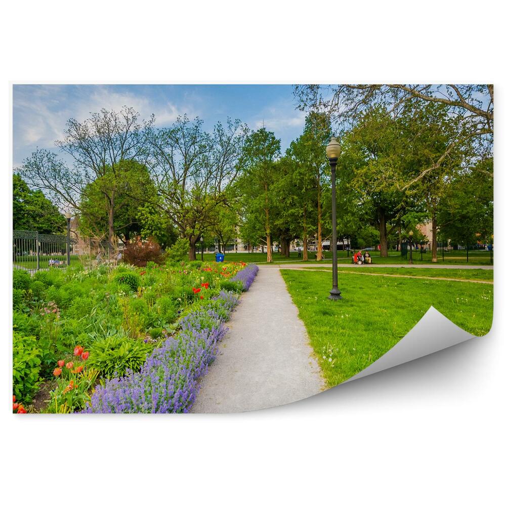 Fototapeta na stenu Architektúra kvety cesta park zelená