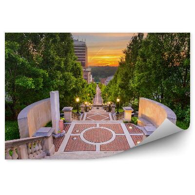 Fototapeta Stromy Rastliny Mrakodrapy Schody Betón Svetlo Západ Slnka