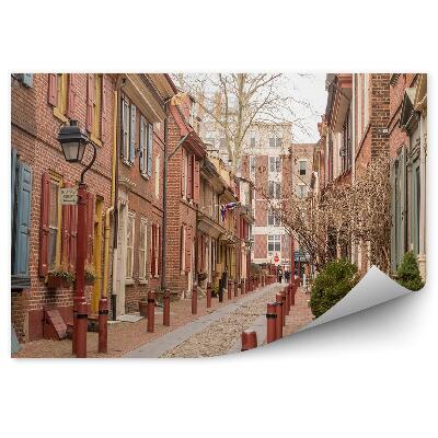 Fototapeta na stenu Budovy aleje stromy