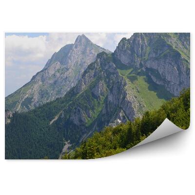 Fototapeta Pohľad giewont tatry stromy obloha mraky