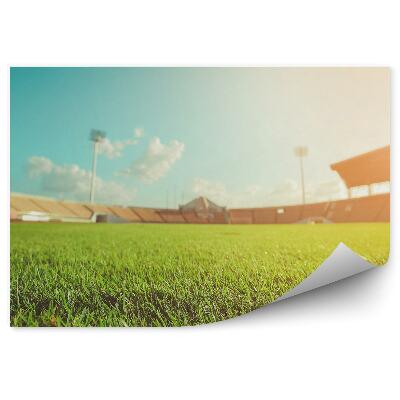Fototapeta Nogometni stadion z zeleno travo