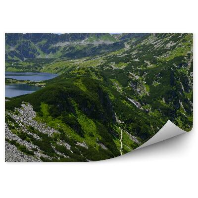 Fototapeta Dolina pięciu stawów tatry hory