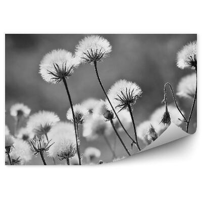 Fototapeta na stenu Dúchadlá zblízka čiernobiele