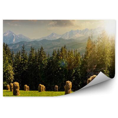 Fototapeta ihličnatý les hory obloha mraky tatra západ slnka