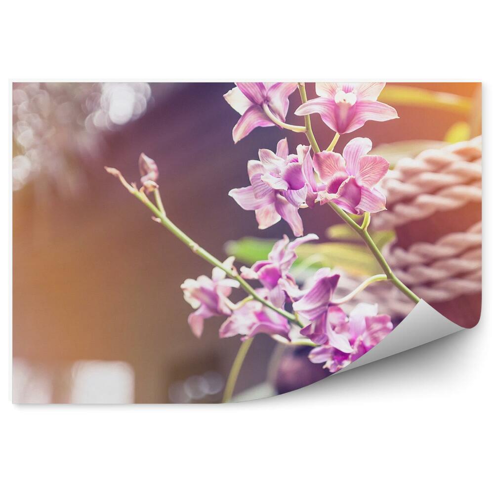 Fototapeta Ružové Kvety Orchidey Šnúry Stromov