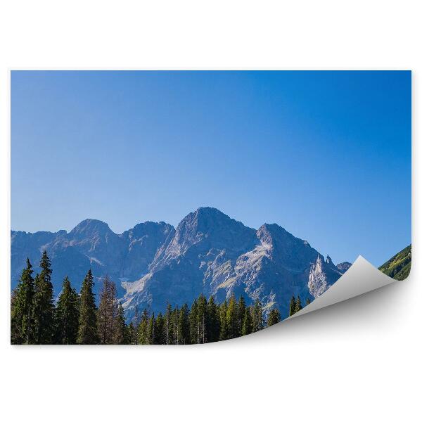 Fototapeta na stenu Morskie oko hory ihličnaté stromy nebo tatry