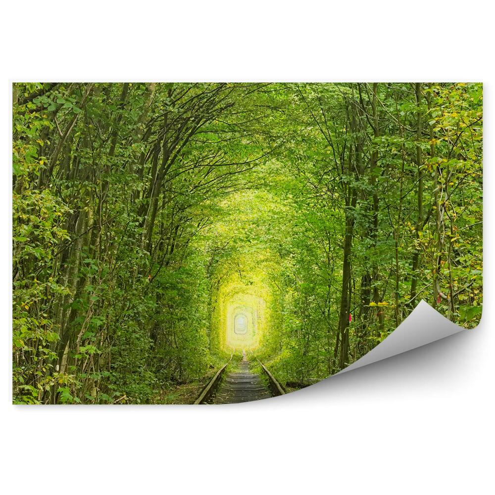 Fototapeta Stará železničná trať tunel stromov zeleň
