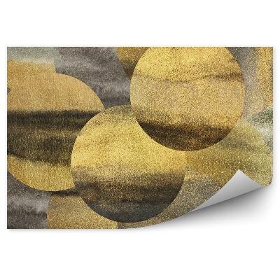 Fototapeta na stenu Zlaté a strieborné kruhy