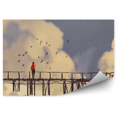 Fototapeta na stenu Obrázok Vtáky Mólo Mraky Obloha Chlapec