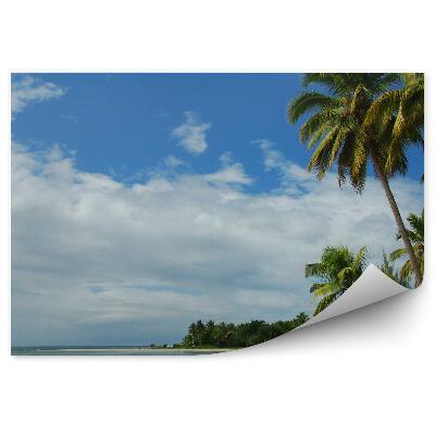 Fototapeta na stenu Pláž Oceán Palmy Loď Obloha Mraky