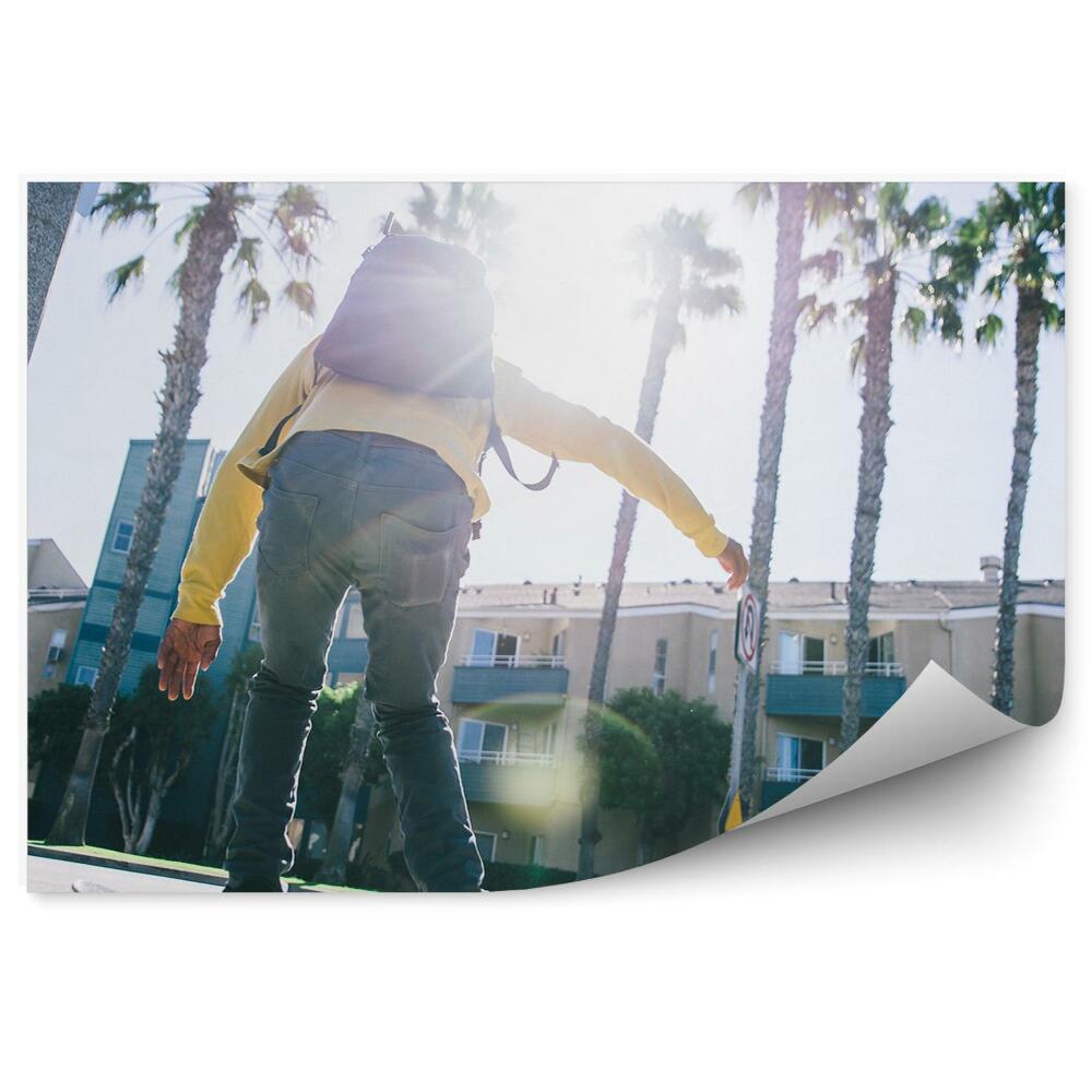 Fototapeta Skateboard stavba palme drevesa ulični znak šport