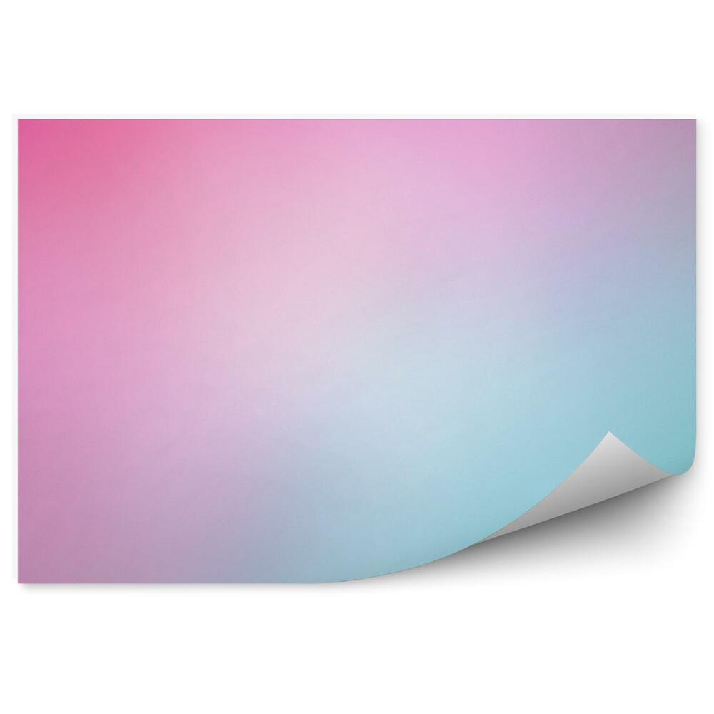 Fototapeta na stenu Morská ružová rozmazaný gradient